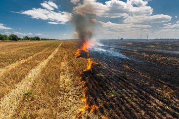 В ДНР из-за обстрелов сгорела крупная партия пшеницы